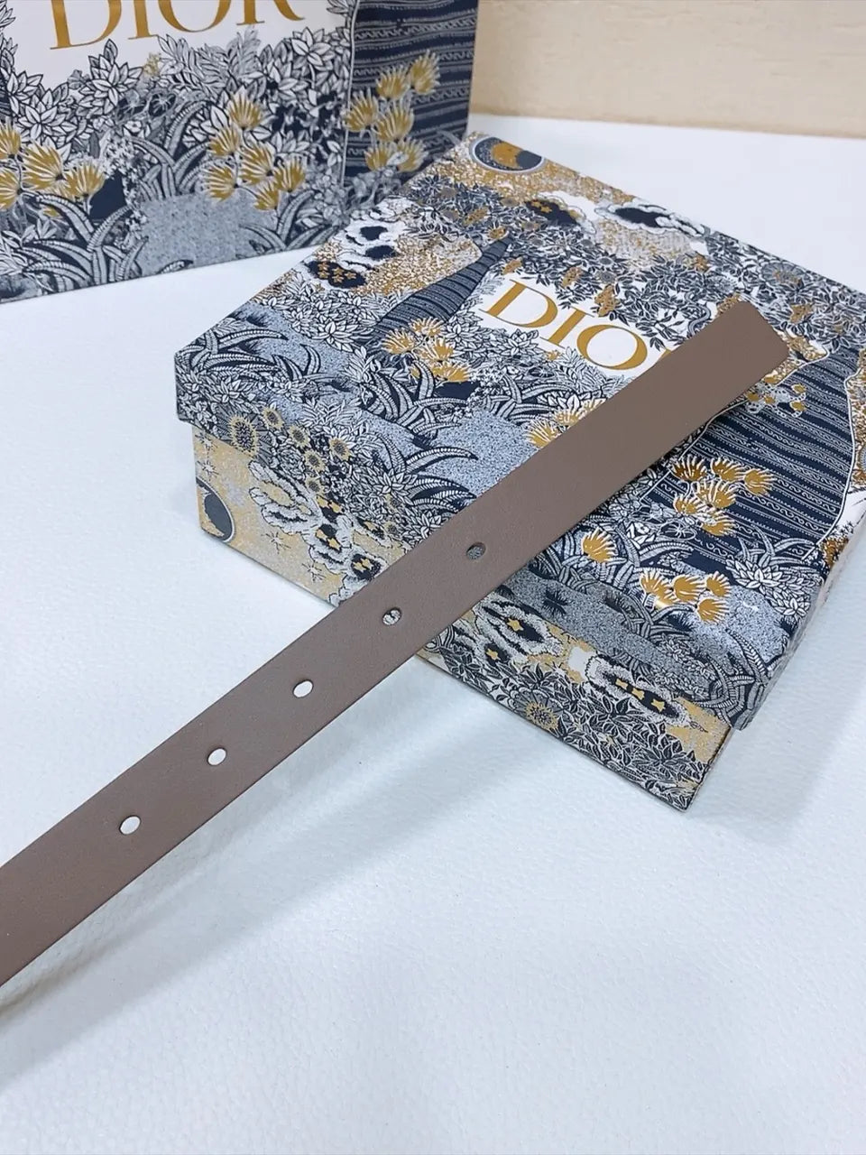 Dior Taupe Leather Belt - Hình 2