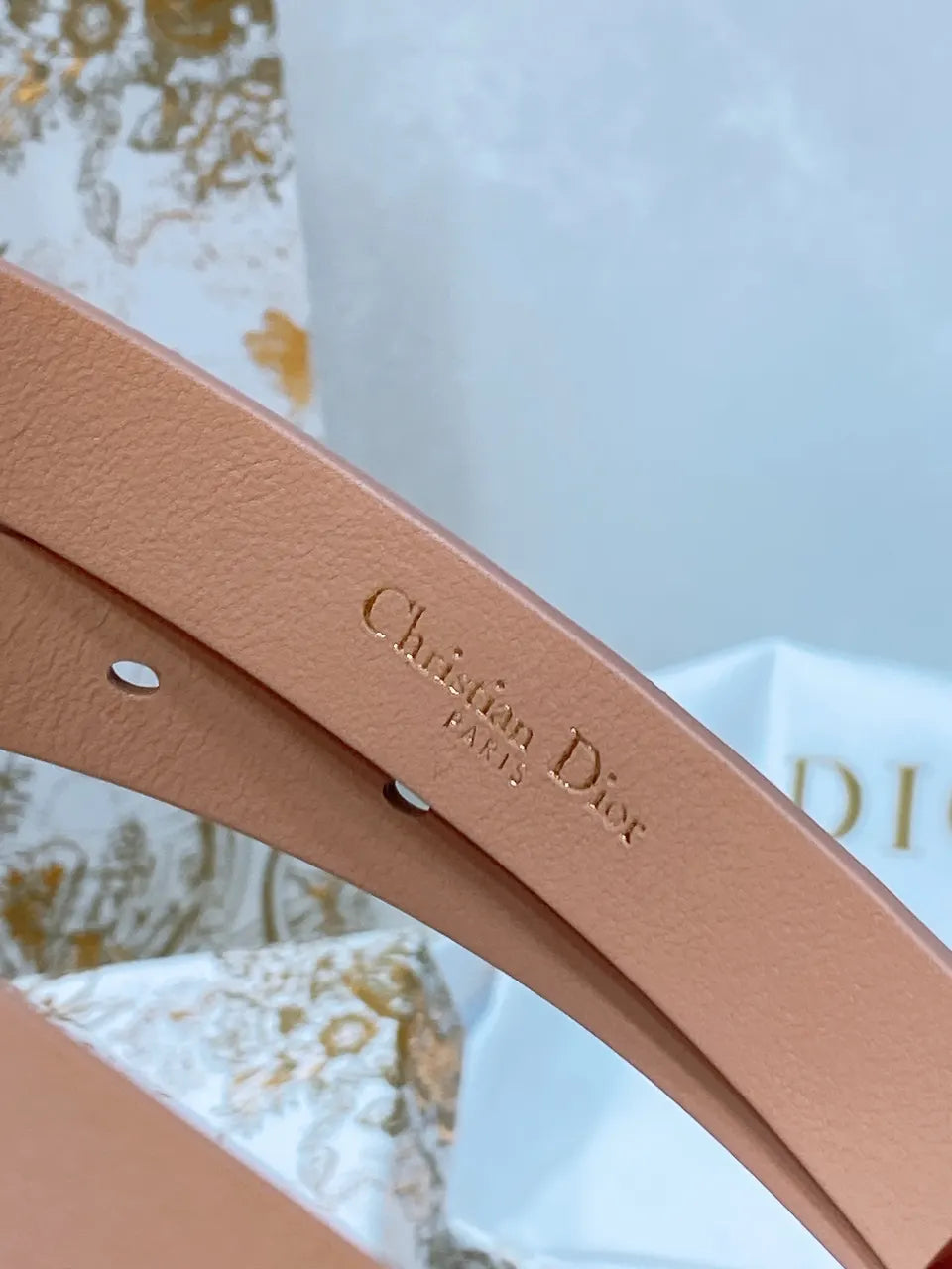 Dior Nude Leather Belt - Hình 2