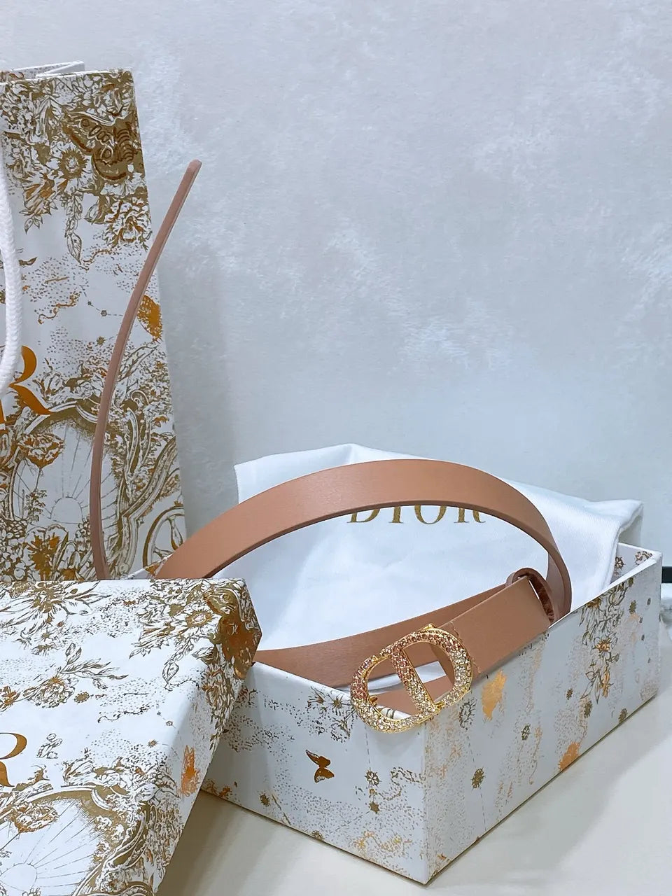 Dior Nude Leather Belt