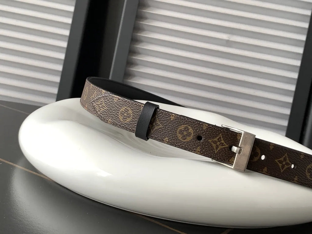 classic Louis Vuitton Monogram Silver Belt - Hình 2