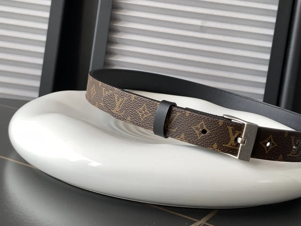 silver Louis Vuitton Monogram Classic Belt - Hình 2