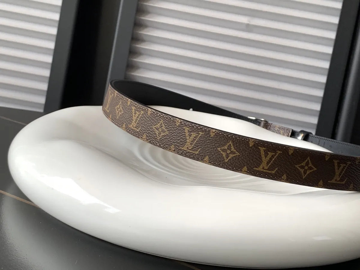 silver Louis Vuitton Monogram Classic Belt - Hình 3