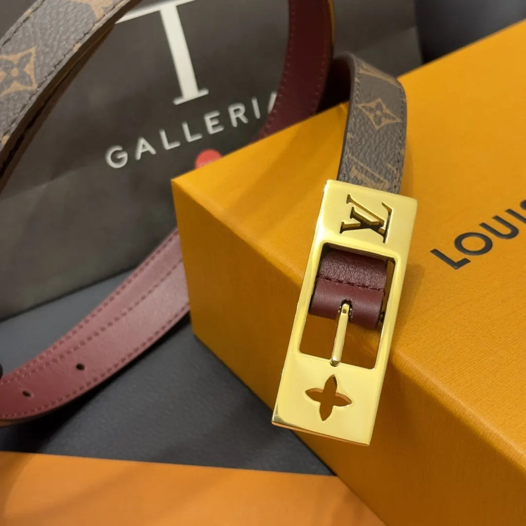 gold Louis Vuitton Monogram Reverse Belt - Hình 5