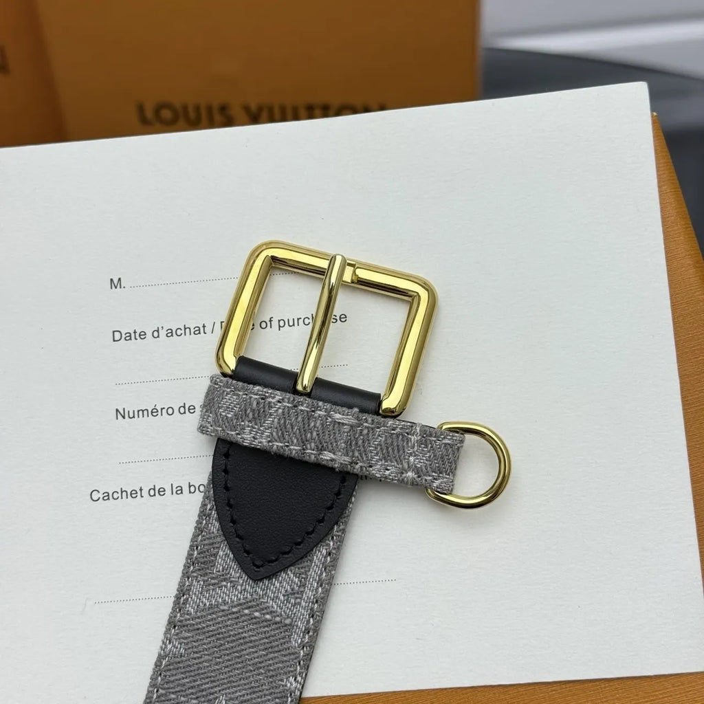 gold Louis Vuitton Gray Monogram Belt - Hình 6