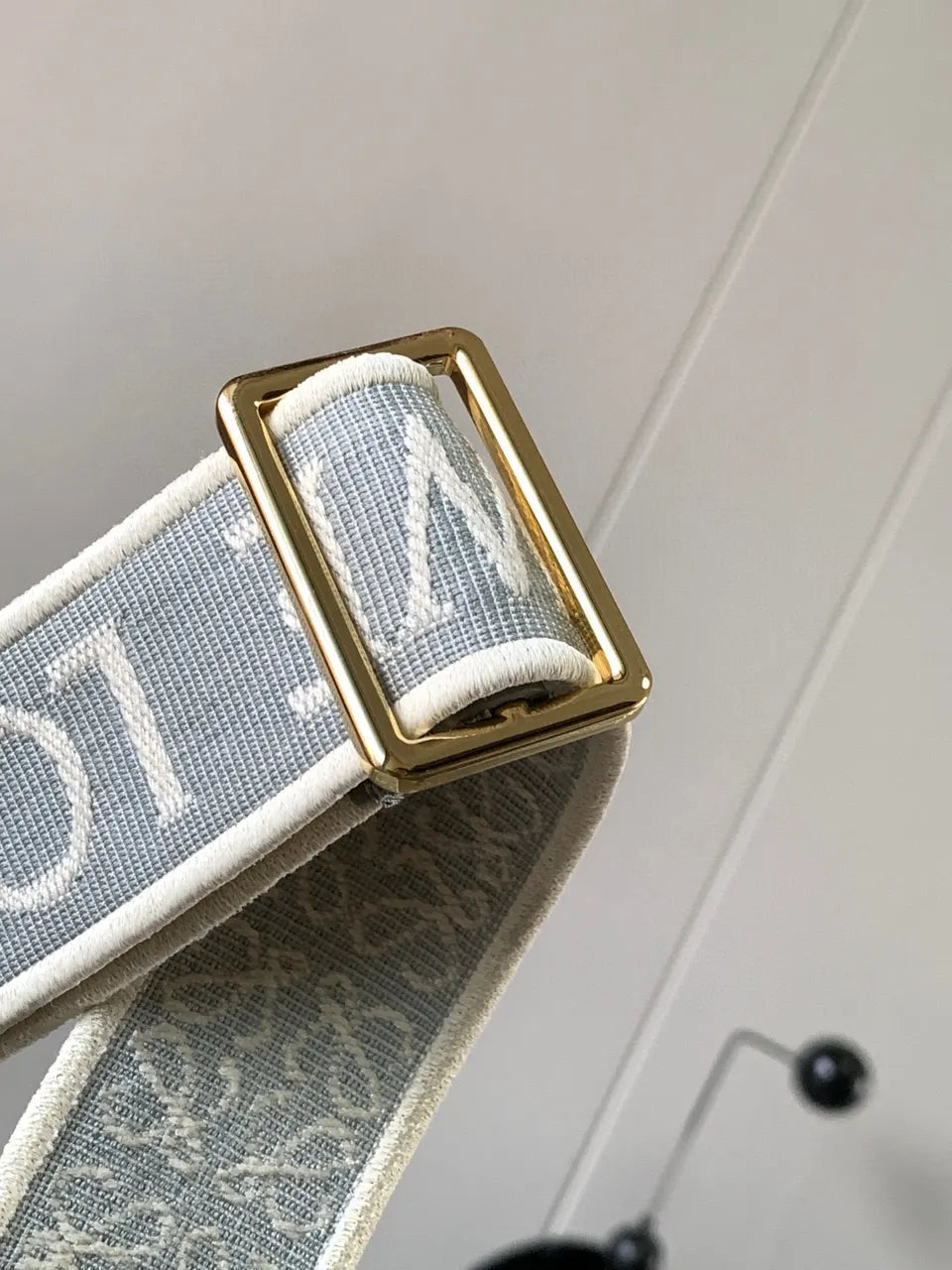 Loewe Light Blue Woven Bag Strap - Hình 3