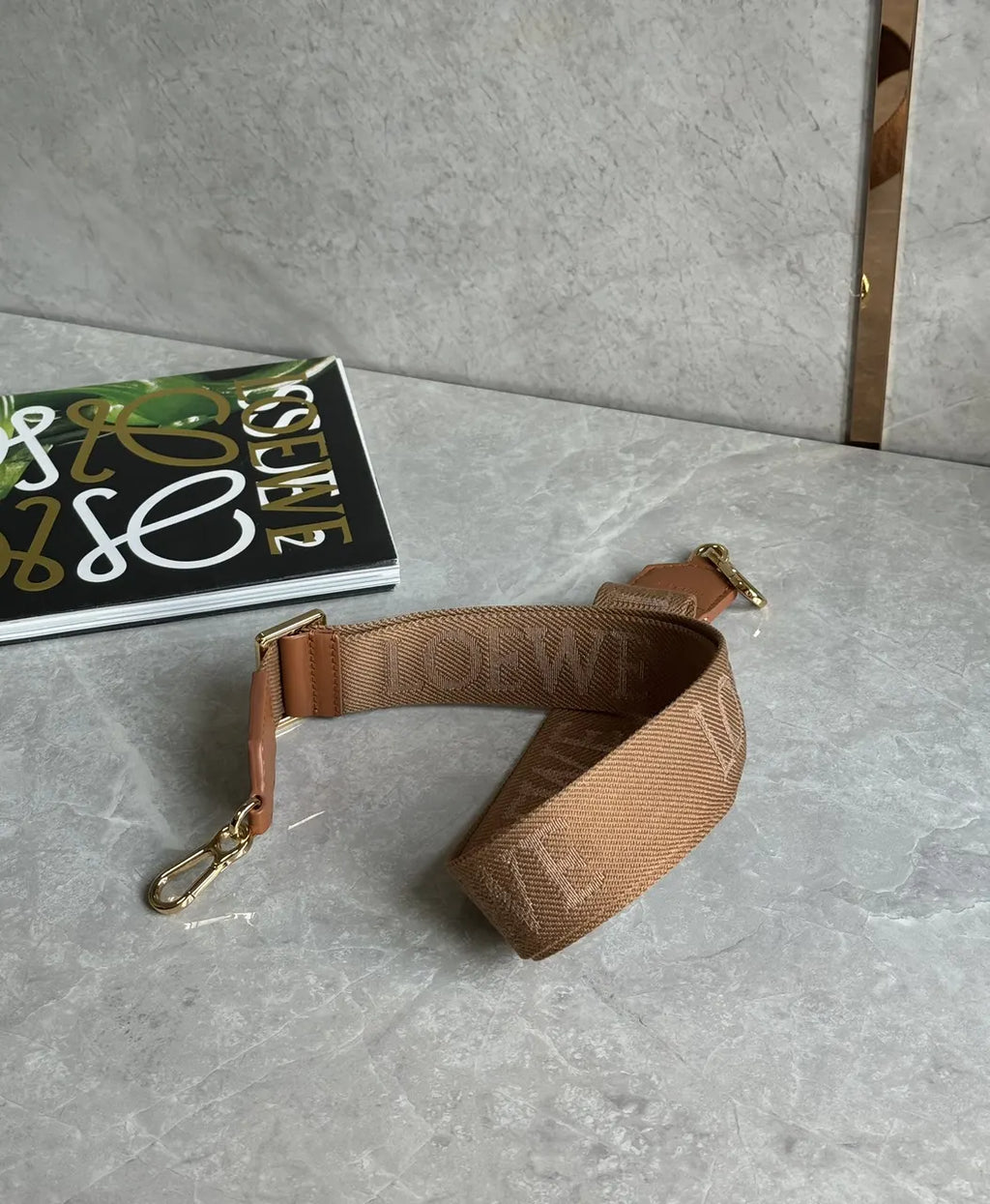 Loewe Brown Woven Bag Strap - Hình 2