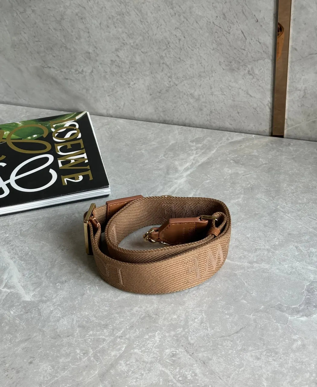 Loewe Brown Woven Bag Strap - Hình 3