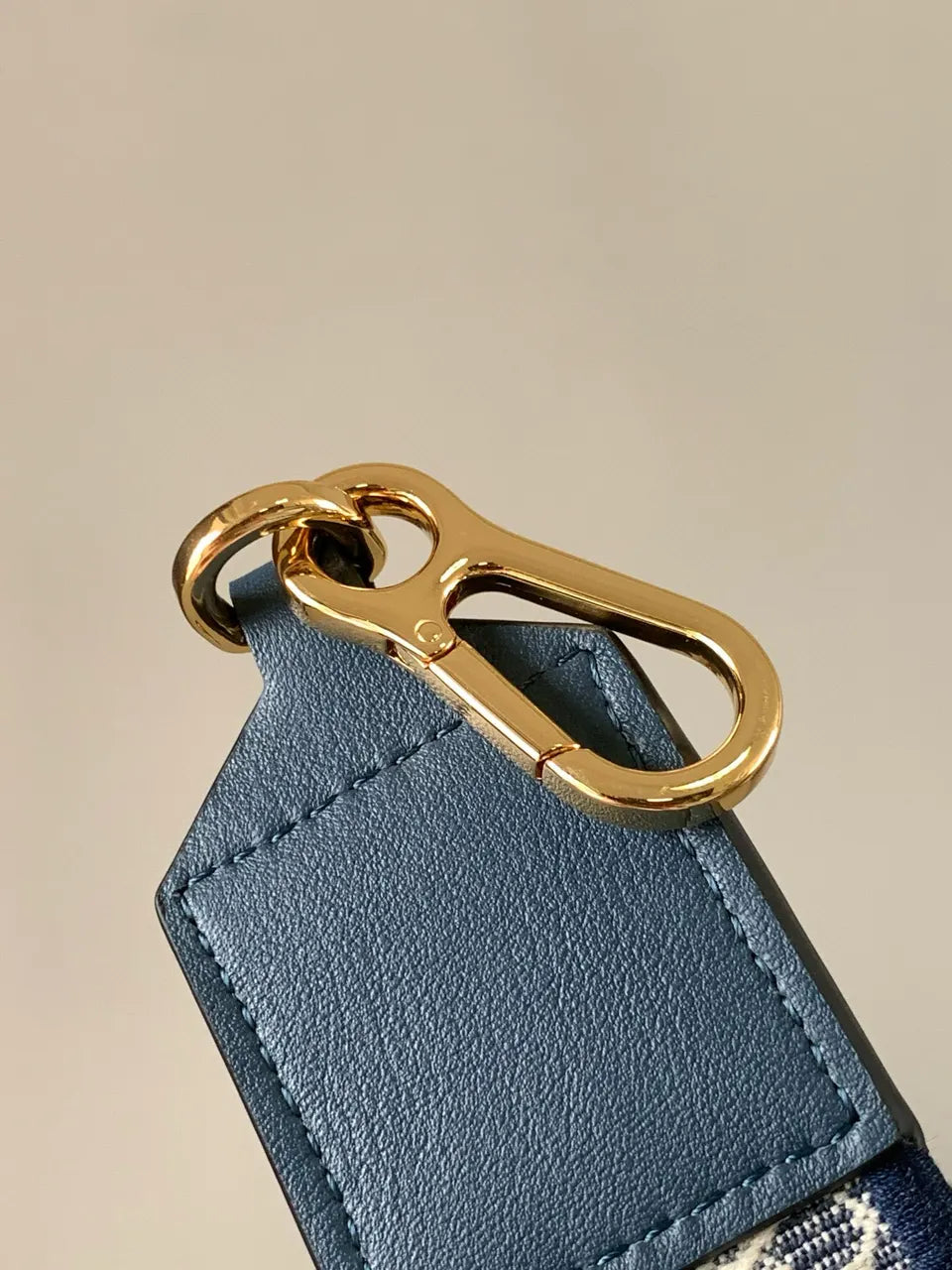 Loewe Blue Logo Bag Strap - Hình 6