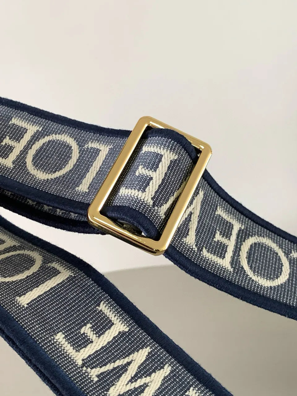 Loewe Blue Logo Bag Strap - Hình 3