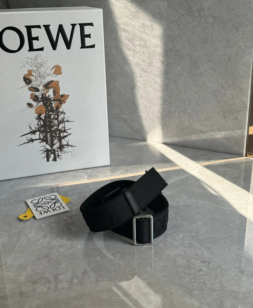 Loewe Black Jacquard Belt